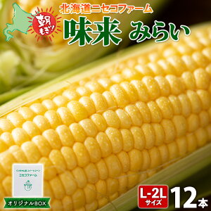 yӂ邳Ɣ[Łzy 2025N s\ z kCY Ƃ낱  v12{ L-2L TCY 傫 ݂炢 { ̂ VN gERV Â Ė Ƃ  Yn  