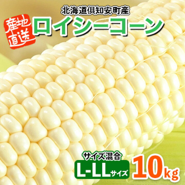 楽天市場】【ふるさと納税】北海道産 とうもろこし ロイシーコーン 計  