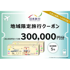 【ふるさと納税】日本旅行 地域限定旅行クーポン【300,000円分】 ツアー 宿泊 旅行 交通 5年 トラベル 宿泊券 チケット スキー スノボ 旅行券 観光 北海道 旅行 ニセコ 倶知安町　【旅行・チケット・旅行・宿泊券】