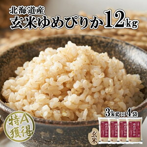 yӂ邳Ɣ[ŁzkCY ߂҂肩  3kg×4 v12kg   A Y ͂ O H@ wV[  ~ ۑ v[g  Mtg 悤Ă_Ƌg zN
