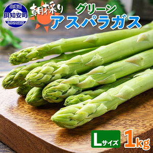 yӂ邳Ɣ[Łzy2026Nz AXpKX kC O[ 1kg Zbg LTCY t  { ̂ VN  AXp Mtg gift Yn Y  lߍ킹  @͂