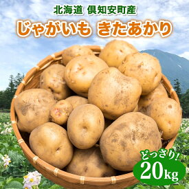 【ふるさと納税】北海道産 じゃがいも きたあかり 約20kg 芋 ジャガイモ いも 自然 旬 新鮮 野菜 直送 常温 農作物 お取り寄せ 野菜 ポテト 農作物 お取り寄せ 送料無料 縁樹 北海道 倶知安町　【根菜 】　お届け：2024年10月下旬～11月上旬