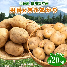 【ふるさと納税】北海道産 じゃがいも 2種セット 男爵 きたあかり 約20kg じゃが芋 ジャガイモ 芋 いも ポテト 食べ比べ 新鮮 野菜 直送 農作物 お取り寄せ 送料無料 縁樹 北海道 倶知安町　【 根菜 】　お届け：2024年10月下旬～11月上旬