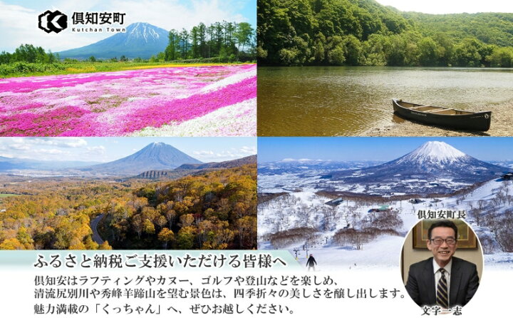 楽天市場】【ふるさと納税】受注生産 スノーボード 板 Volume one 
