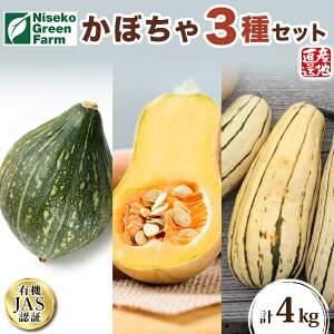 yӂ邳Ɣ[ŁzkC I[KjbN ڂ3 v4kg J{` fJ^ ~jo^[ibc  Z L@  L@͔| JAS Y Yn Y jZRO[t@[ 