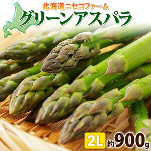 yӂ邳Ɣ[Łzy 2026N  z kCY O[ AXpKX  900g 2L AXpKX AXp { ̂  VN   Yn Y  _앨 lߍ킹 AXp 