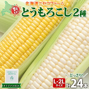 yӂ邳Ɣ[Łzy 2025N s\ z kCY Ƃ낱 2 v24{ L-2L TCY  CV[R[ Hה Zbg { ̂ VN gERV Ƃ  Yn 