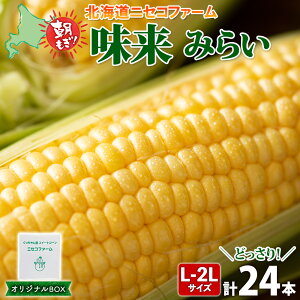 yӂ邳Ɣ[Łzy 2025N s\ z kCY Ƃ낱  v24{ L-2L TCY 傫 ݂炢 { ̂ VN gERV Â Ė Ƃ  Yn  