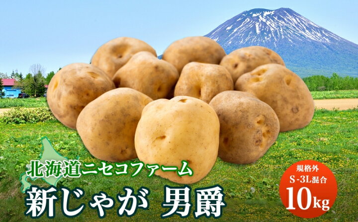 楽天市場】【ふるさと納税】北海道産 じゃがいも 男爵 10kg 規格外 訳 