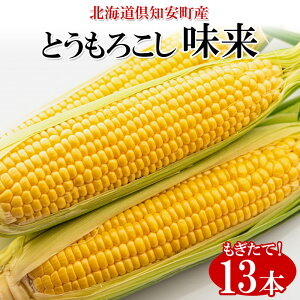 yӂ邳Ɣ[Łzy 2026N o z kCY  CG[ Ƃ낱  ݂炢 2LTCY 13{ 5kg 傫 Ė Ƃ VN  gERV Mtg Yn R[ Y O