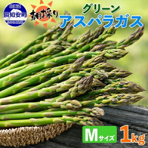 yӂ邳Ɣ[Łzy2026Nz kC AXpKX O[ 1kg Zbg MTCY t  { ̂ VN  AXp Mtg gift Yn Y  lߍ킹  m