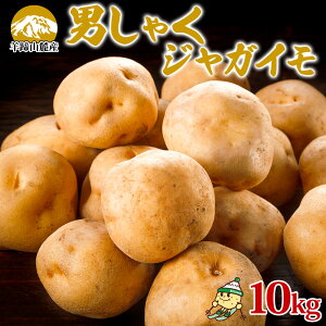 yӂ邳Ɣ[ŁzkCY Ⴊ j 10kg LTCY WKC j݂ j݃C n鏒 |eg   _앨 Y Y JA悤Ă  kC m kC̃W