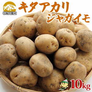 yӂ邳Ɣ[ŁzkCY Ⴊ L^AJ 10kg LTCY WKC k n鏒 |eg NႪ   Y Y JA悤Ă  kC m kC