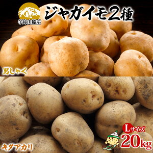 【ふるさと納税】北海道産じゃがいも 男爵 キタアカリ各約10kg Lサイズ ジャガイモ 男爵いも 北あかり 馬鈴薯 ポテト 根菜 常備野菜 産直 国産 JAようてい 送料無料 北海道 倶知安町 北海道の