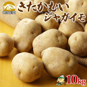 yӂ邳Ɣ[ŁzkCY Ⴊ ނ 10kg LTCY WKC L^JC n鏒  |eg   Y Y {Y JA悤Ă  kC m kC