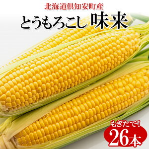 yӂ邳Ɣ[Łzy 2026N o z kCY  CG[ Ƃ낱  ݂炢 2LTCY 26{ 10kg Ė Ƃ VN  gERV Â Mtg Yn R[ Y O