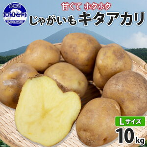 yӂ邳Ɣ[ŁzkCY Ⴊ L^AJ LTCY 10kg n鏒  k j NႪ WKC |eg   { C  _앨 Yn Y 퉷 k