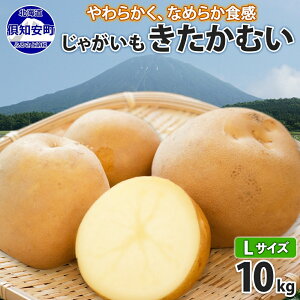yӂ邳Ɣ[ŁzkCY Ⴊ ނ LTCY 10kg n鏒 L^JC WKC |eg   { C  _앨 Yn Y 퉷 kC   m