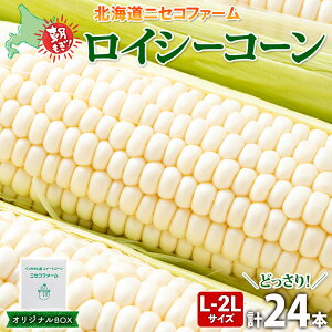 yӂ邳Ɣ[Łzy 2025N s\ z kCY Ƃ낱 v24{ L-2L TCY CV[R[ 傫 { ̂ VN gERV Â Ė Ƃ  Yn  