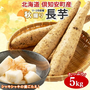 yӂ邳Ɣ[ŁzkC mY  2L×6{ v5kg Hx  Ȃ Ƃ VN tbV  _앨 Y R Ƃ R ܂ O[A[Xt@[  kC