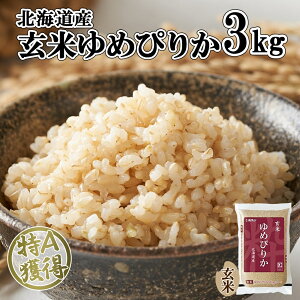 yӂ邳Ɣ[ŁzkCY ߂҂肩  3kg  A l  ͂ Y uh 3L   ֗ kC Y O wV[ ~ ۑ 悤Ă_Ƌg 