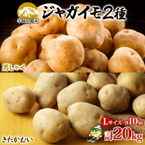 yӂ邳Ɣ[ŁzkCYႪ j ނe10kg LTCY v20kg WKC j݂ n鏒 |eg   Y Y  kC m ?m @͂F2026N