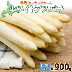 【ふるさと納税】【 2026年 発送 】 北海道産 アスパラガス ホワイト 約 900g L - 2L サイズ 混合 アスパラ 旬 朝採り 新鮮 お取り寄せ 産地直送 産直 野菜 農作物 詰め合わせ 国産 北海道 倶知安町 　お届け：2026年5月中旬～6月上旬まで
