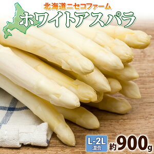 yӂ邳Ɣ[Łzy 2026N  z kCY AXpKX zCg  900g L - 2L TCY  AXp { ̂ VN  Yn Y  _앨 lߍ킹 Y kC m
