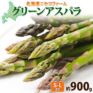 yӂ邳Ɣ[Łzy 2026N  z kCY O[ AXpKX  900g S - L TCY AXpKX AXp { ̂ VN  Yn Y  _앨 lߍ킹 Y 