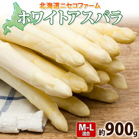 【ふるさと納税】【 2026年 発送 】 北海道産 アスパラガス ホワイト 約 900g M - L サイズ 混合 アスパラ 旬 朝採り 新鮮 お取り寄せ 産地直送 産直 野菜 農作物 詰め合わせ 国産 北海道 倶知安町　お届け：2026年5月中旬～6月上旬まで