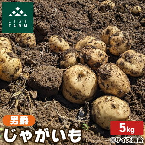 yӂ邳Ɣ[ŁzkC m Ⴊ j 5kg Xgt@[ TCY  n鏒  |eg C Yn ؁@͂F2025N9{`10{