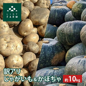 yӂ邳Ɣ[Łzy A z ڂ Ⴊ  10kg 10  \ Xgt@[ TCY  n鏒 L^JC Z J{`  |eg C Yn ؁@͂F2025N10