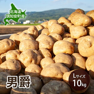 yӂ邳Ɣ[Łzy 2026N o s\ z kC m Y Ⴊ j L TCY 10kg n鏒   O[A[Xt@[ _   Yn@͂F2026N9{`2027N1