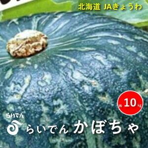 �y�ӂ邳�Ɣ[�Łz2026�N 8�� �o�� ��s�\�� �炢�ł� ��Z �_�[�N�z�[�X 6�� �� 10kg ���ڂ��� �p���v�L�� �k�C�� ���a�� �Y�n���� JA���傤�� ��� �@���͂��F2026�N8�����{�`9�����{��