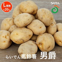 楽天市場】じゃがいも 20kg（品種（ジャガイモ）男爵芋）の通販