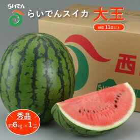 【ふるさと納税】【 2026年発送 先行予約 】スイカ 北海道 共和町産 らいでんスイカ 大玉 約6kg フルーツ 果物 産地直送 JAきょうわ すいか 果実 　お届け：2026年7月上旬〜中旬まで