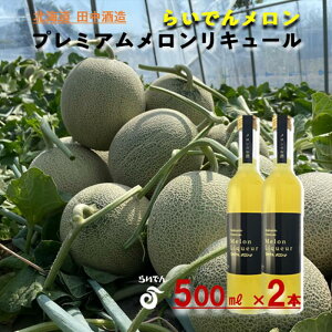 yӂ邳Ɣ[Łz炢ł񃁃 v~AL[ 500ml 2{ kC c  m ʏ` ґ F 炩 G t[c HO fU[g