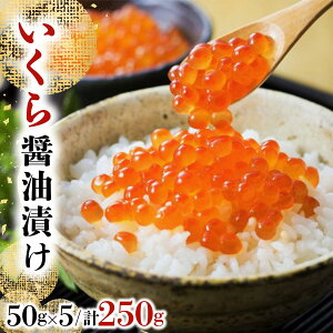 【ふるさと納税】<選べる配送時期> いくら醤油漬け 250g(50g×5) いくら 海鮮 北海道 イクラ 冷凍 醤油漬け 海産物