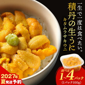 【ふるさと納税】【2027年夏発送分】ムラサキウニ 選べる1パック〜4パック 1パック100g 大川商店北海道ふるさと納税 積丹町 海鮮 北海道 キタムラサキウニ 塩水 むらさきうに 海鮮 うに 生うに 北海道 雲丹 通販 ギフト ウニ 2027年