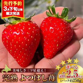 【ふるさと納税】【2026年3月下旬以降発送】北海道産 完熟よつぼし苺 選べる2～10パック 1パック約250g北海道ふるさと納税 積丹町 ふるさと納税 北海道 いちご 苺 イチゴ 果物 フルーツ デザート
