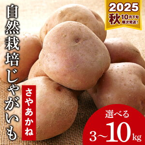 yӂ邳Ɣ[Łzu2025NHvR͔|ႪYqu₠ˁvIׂ3kg`10kg  Ⴊ  L@ kCӂ邳Ɣ[ ϒO ӂ邳Ɣ[ kC  L@ 