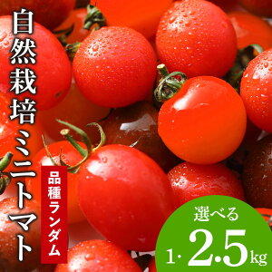 yӂ邳Ɣ[ŁzkČb݁hR͔|~jg}gh͂y!! Iׂ1kg`2.5kg~jg}g L@͔| L@~jg}g  L@ kC ϒO ӂ邳Ɣ[ kC  L@