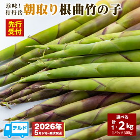 【ふるさと納税】「先行予約開始！」珍味積丹岳根曲竹の子選べる1kg〜2kg 1パック500g北海道ふるさと納税 積丹町 ふるさと納税 北海道 山菜 根曲がり竹 北海道産 タケノコ 筍 竹の子