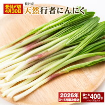 楽天市場】行者にんにく（その他野菜｜野菜・きのこ）：食品の通販