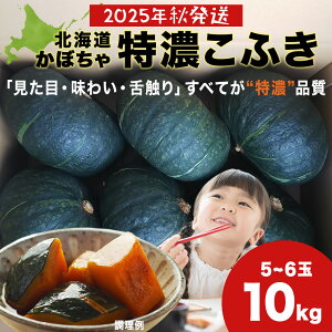 yӂ邳Ɣ[Łzy2025NHoח\zZӂ ڂ10kg(5ʁ`6ʁjL@100엿 ϕ VՂkCӂ邳Ɣ[ ϒO ӂ邳Ɣ[ kC  _ ʔ Mtg i 