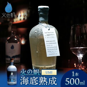 yӂ邳Ɣ[ŁzCn ΂̔ UMI 500mlF45%kCӂ邳Ɣ[ ϒO ӂ邳Ɣ[ kC W m   NtgW tLmgE ʔ Mtg i 蕨