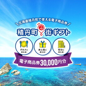 【ふるさと納税】積丹町e街ギフト 30,000円分