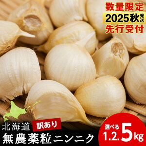 yӂ邳Ɣ[Łzyʌz󂠂薳_򗱃jjN Iׂ1kg`5kg 1500g o  _ ɂɂK[bNkCӂ邳Ɣ[ ϒO ӂ邳Ɣ[ kC  ɂɂ kCY 