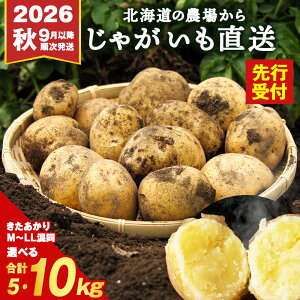 �y�ӂ邳�Ɣ[�Łz�y2026�N �H �����\��z���Ⴊ���� ���������� �I�ׂ�5kg�E10kg �k�C�� �ʖ��u�I���Ⴊ�v�Â��Ă������� �W���K�C�� �� ���� �H��� �G�߂̖�� �����_�� �k�C���Y �T�C�Y����