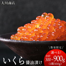 【ふるさと納税】☆選べる発送時期☆ いくら 醤油漬け 選べる1箱〜3箱 1箱300g＜大川商店＞北海道ふるさと納税 積丹町 魚介類 ふるさと納税 海鮮 北海道 いくら 醤油漬け 魚卵 いくらしょうゆ漬け 加工品 海産物 通販 ギフト 贈答品